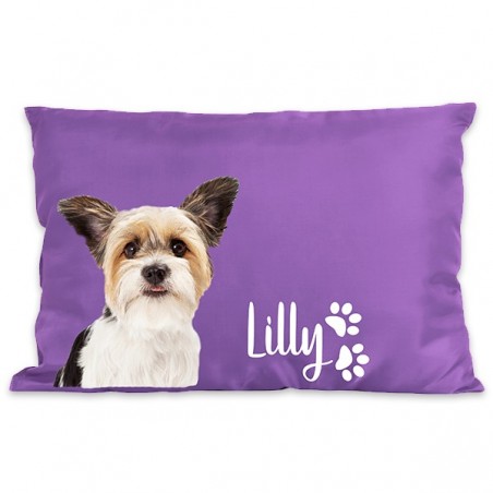 Cuccia cane personalizzata – Cicconi Art